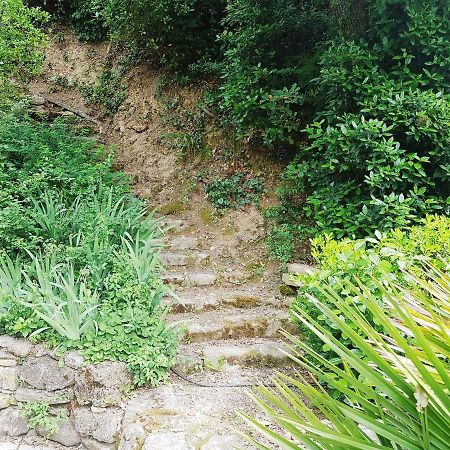 Lauris Les Acanthes المظهر الخارجي الصورة
